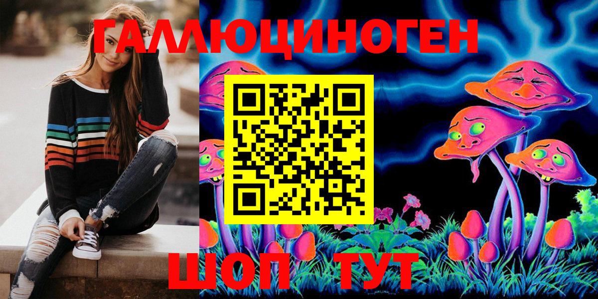 Псилоцибиновые грибы Cubensis  хочу наркоту  Курчалой  Вход с VPN 