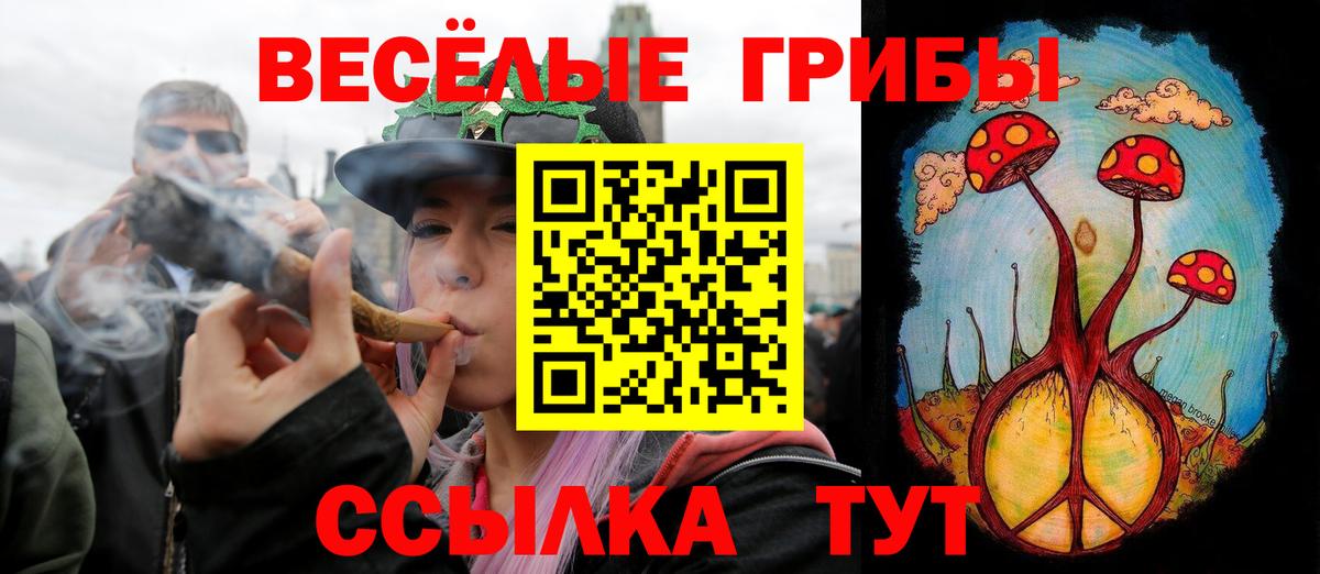 Галлюциногенные грибы MAGIC MUSHROOMS Курчалой